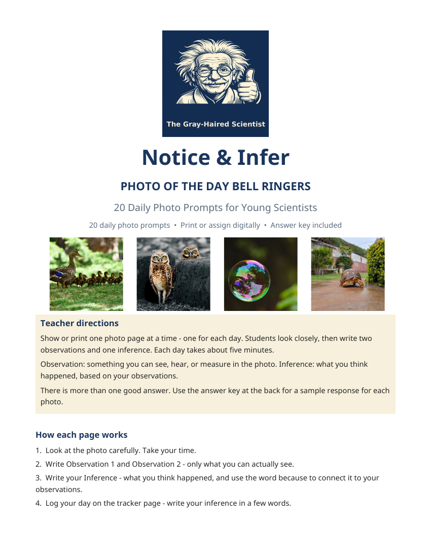 Cover of Notice and Infer photo of the day bell ringers