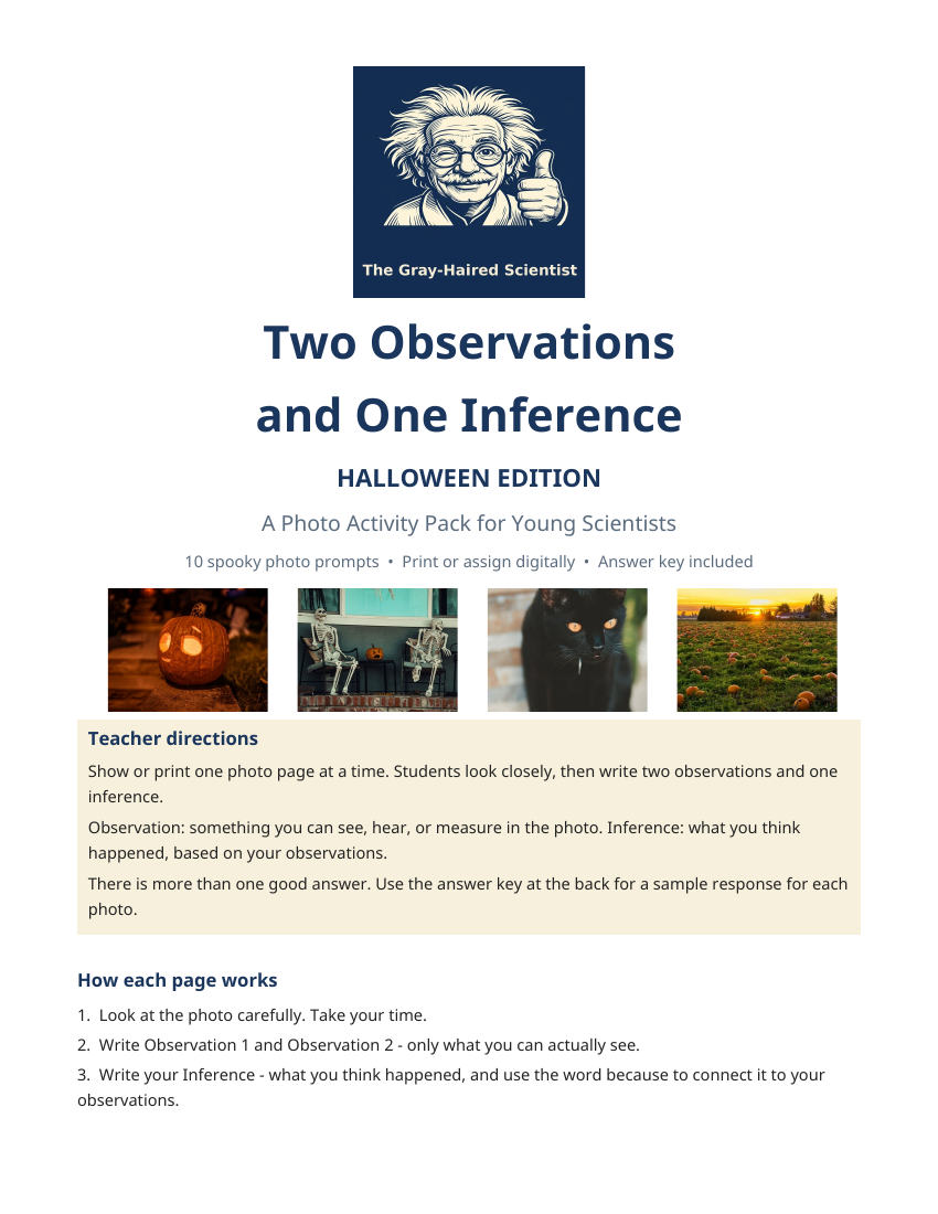 Cover of Halloween Observations and Inferences