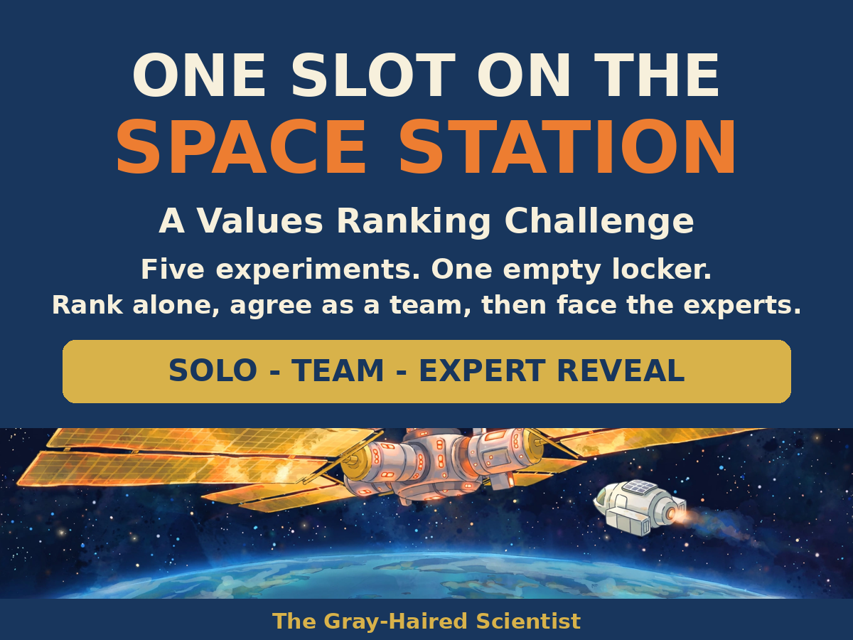 Cover of One Slot on the Space Station values ranking challenge